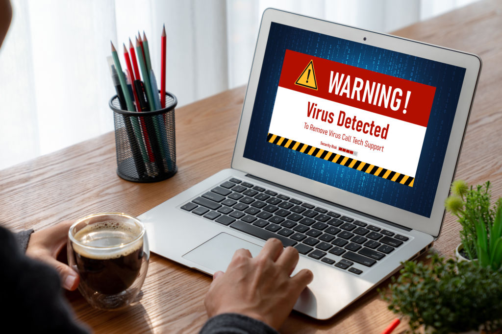 Computer Virus Removal Services in Boise